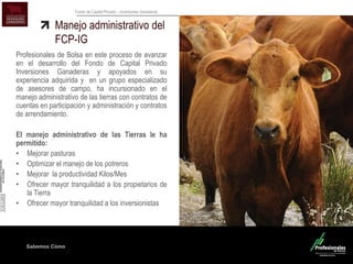 Sabemos Cómo
Fondo de Capital Privado – Inversiones Ganaderas
Manejo administrativo del
FCP-IG
Profesionales de Bolsa en este proceso de avanzar
en el desarrollo del Fondo de Capital Privado
Inversiones Ganaderas y apoyados en su
experiencia adquirida y en un grupo especializado
de asesores de campo, ha incursionado en el
manejo administrativo de las tierras con contratos de
cuentas en participación y administración y contratos
de arrendamiento.
El manejo administrativo de las Tierras le ha
permitido:
• Mejorar pasturas
• Optimizar el manejo de los potreros
• Mejorar la productividad Kilos/Mes
• Ofrecer mayor tranquilidad a los propietarios de
la Tierra
• Ofrecer mayor tranquilidad a los inversionistas
 