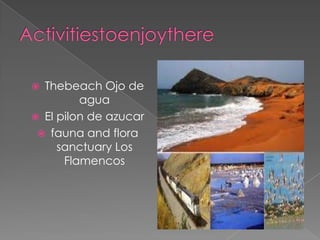  Thebeach Ojo de
         agua
 El pilon de azucar
  fauna and flora
     sanctuary Los
      Flamencos
 