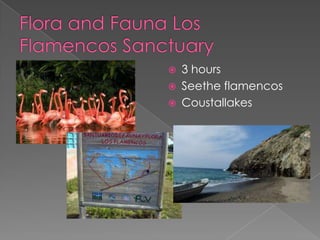  3 hours
Seethe flamencos
Coustallakes