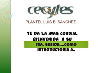PLANTEL LUIS B. SANCHEZ


TE DA LA MAS CORDIAL
  BIENVENIDA A SU
    1ra. Sesion….Como
     introductoria a..
 