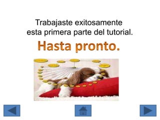 Trabajaste exitosamente
esta primera parte del tutorial.
 