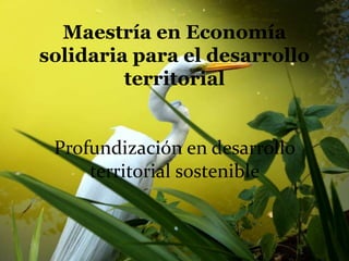 Maestría en Economía
solidaria para el desarrollo
territorial
Profundización en desarrollo
territorial sostenible
 