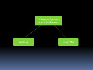 Los Sistemas Operativos mas utilizados son.WindowsLinux y Mac