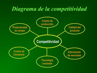 Competitividad
Productividad
de campo
Costos de
producción
Calidad del
producto
Costos de
transporte
Tecnología
avanzada
Información
de mercados
Diagrama de la competitividad
 