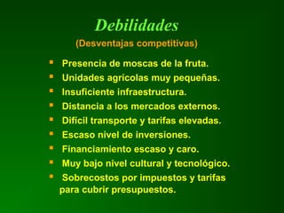 Debilidades
(Desventajas competitivas)
 Presencia de moscas de la fruta.
 Unidades agrícolas muy pequeñas.
 Insuficiente infraestructura.
 Distancia a los mercados externos.
 Difícil transporte y tarifas elevadas.
 Escaso nivel de inversiones.
 Financiamiento escaso y caro.
 Muy bajo nivel cultural y tecnológico.
 Sobrecostos por impuestos y tarifas
para cubrir presupuestos.
 