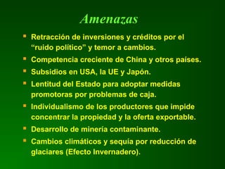 Amenazas
 Retracción de inversiones y créditos por el
“ruido político” y temor a cambios.
 Competencia creciente de China y otros países.
 Subsidios en USA, la UE y Japón.
 Lentitud del Estado para adoptar medidas
promotoras por problemas de caja.
 Individualismo de los productores que impide
concentrar la propiedad y la oferta exportable.
 Desarrollo de minería contaminante.
 Cambios climáticos y sequía por reducción de
glaciares (Efecto Invernadero).
 
