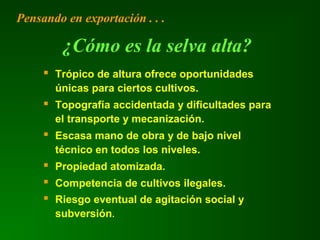  Trópico de altura ofrece oportunidades
únicas para ciertos cultivos.
 Topografía accidentada y dificultades para
el transporte y mecanización.
 Escasa mano de obra y de bajo nivel
técnico en todos los niveles.
 Propiedad atomizada.
 Competencia de cultivos ilegales.
 Riesgo eventual de agitación social y
subversión.
¿Cómo es la selva alta?
Pensando en exportación . . .
 