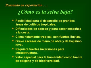  Posibilidad para el desarrollo de grandes
áreas de cultivos tropicales.
 Dificultades de acceso y para sacar cosechas
a la costa.
 Clima netamente tropical, con fuertes lluvias.
 Grave escasez de mano de obra y de bajísimo
nivel.
 Requiere fuertes inversiones para
infraestructura.
 Valor especial para la humanidad como fuente
de oxígeno y de biodiversidad.
¿Cómo es la selva baja?
Pensando en exportación . . .
 