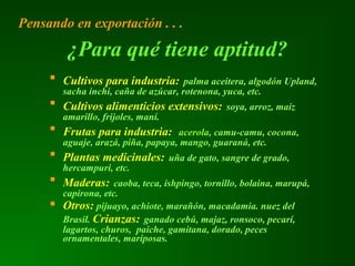  Cultivos para industria: palma aceitera, algodón Upland,
sacha inchi, caña de azúcar, rotenona, yuca, etc.
 Cultivos alimenticios extensivos: soya, arroz, maíz
amarillo, frijoles, maní.
 Frutas para industria: acerola, camu-camu, cocona,
aguaje, arazá, piña, papaya, mango, guaraná, etc.
 Plantas medicinales: uña de gato, sangre de grado,
hercampuri, etc.
 Maderas: caoba, teca, ishpingo, tornillo, bolaina, marupá,
capirona, etc.
 Otros: pijuayo, achiote, marañón, macadamia. nuez del
Brasil. Crianzas: ganado cebú, majaz, ronsoco, pecarí,
lagartos, churos, paiche, gamitana, dorado, peces
ornamentales, mariposas.
¿Para qué tiene aptitud?
Pensando en exportación . . .
 