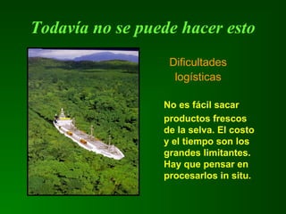 Todavía no se puede hacer esto
No es fácil sacar
productos frescos
de la selva. El costo
y el tiempo son los
grandes limitantes.
Hay que pensar en
procesarlos in situ.
Dificultades
logísticas
 