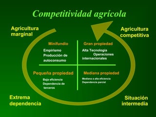 Competitividad agrícola
Mediana a alta eficiencia
Dependencia parcial
Baja eficiencia
Dependencia de
terceros
Alta Tecnología
Operaciones
internacionales
Empirismo
Producción de
autoconsumo
Gran propiedadMinifundio
Agricultura
marginal
Situación
intermedia
Agricultura
competitiva
Pequeña propiedad Mediana propiedad
Extrema
dependencia
 