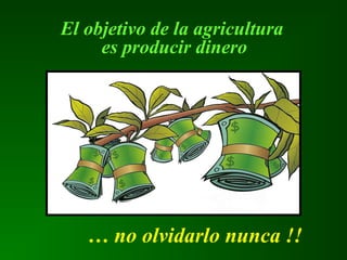 El objetivo de la agricultura
es producir dinero
… no olvidarlo nunca !!
 