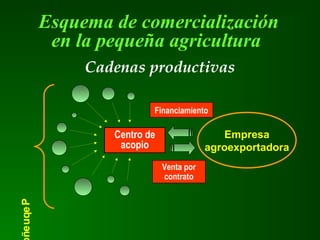 Esquema de comercialización
en la pequeña agricultura
Centro de
acopio
Empresa
agroexportadora
Pequeñ
Cadenas productivas
Venta por
contrato
Financiamiento
 