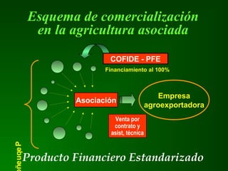 Esquema de comercialización
en la agricultura asociada
Asociación
Empresa
agroexportadora
Pequeñ
Producto Financiero Estandarizado
COFIDE - PFE
Financiamiento al 100%
Venta por
contrato y
asist, técnica
 