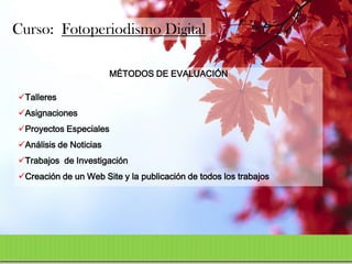 Curso: Fotoperiodismo Digital

                        MÉTODOS DE EVALUACIÓN

Talleres
Asignaciones
Proyectos Especiales
Análisis de Noticias
Trabajos de Investigación
Creación de un Web Site y la publicación de todos los trabajos
 