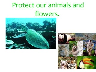 Protect our animals and
       flowers.
 