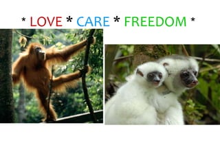 * LOVE * CARE * FREEDOM *
 