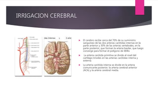 Neuroanatomia y fisiologia en el paciente neurologico