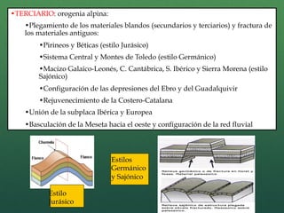 • TERCIARIO: orogenia alpina:
• Plegamiento de los materiales blandos (secundarios y terciarios) y fractura de
los materiales antiguos:
• Pirineos y Béticas (estilo Jurásico)
• Sistema Central y Montes de Toledo (estilo Germánico)
• Macizo Galaico-Leonés, C. Cantábrica, S. Ibérico y Sierra Morena (estilo
Sajónico)
• Configuración de las depresiones del Ebro y del Guadalquivir
• Rejuvenecimiento de la Costero-Catalana
• Unión de la subplaca Ibérica y Europea
• Basculación de la Meseta hacia el oeste y configuración de la red fluvial
Estilo
Jurásico
Estilos
Germánico
y Sajónico
 