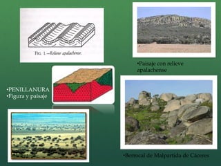 • PENILLANURA
• Figura y paisaje
• Berrocal de Malpartida de Cáceres
• Paisaje con relieve
apalachense
 
