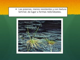 —  Las pizarras, menos resistentes y con textura
laminar, da lugar a formas redondeadas.
 
