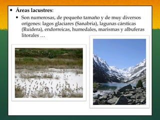 —  Áreas lacustres:
—  Son numerosas, de pequeño tamaño y de muy diversos
orígenes: lagos glaciares (Sanabria), lagunas cársticas
(Ruidera), endorreicas, humedales, marismas y albuferas
litorales …
 