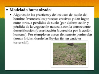 —  Modelado humanizado:
—  Algunas de las prácticas y de los usos del suelo del
hombre favorecen los procesos erosivos y dan lugar,
entre otros, a pérdidas de suelo (por deforestación y
pérdida de la vegetación natural), con la consecuente
desertificación (desertización favorecida por la acción
humana). Por ejemplo en zonas del sureste peninsular
(zonas áridas, donde las lluvias tienen carácter
torrencial).
 