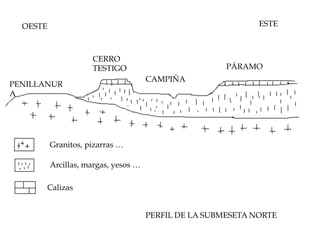 PERFIL DE LA SUBMESETA NORTE
OESTE ESTE
Granitos, pizarras …
Arcillas, margas, yesos …
Calizas
PENILLANUR
A
CERRO
TESTIGO
CAMPIÑA
PÁRAMO
 
