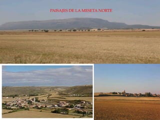 PAISAJES DE LA MESETA NORTE
 