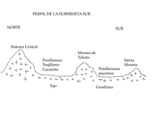 PERFIL DE LA SUBMESETA SUR
NORTE SUR
Sistema Central
Penillanura
Trujillano-
Cacereña
Tajo Guadiana
Montes de
Toledo
Sierra
Morena
Penillanuras
pacenses
 