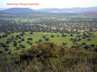 Meseta Sur. Paisaje extremeño
 