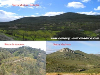 Sierra de Aracena Sierra Madrona
Sierra Morena. Tentudía
 