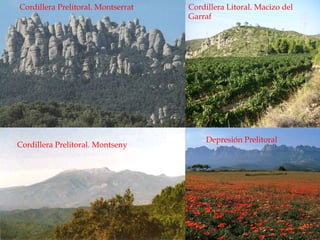 Cordillera Prelitoral. Montserrat
Cordillera Prelitoral. Montseny
Depresión Prelitoral
Cordillera Litoral. Macizo del
Garraf
 