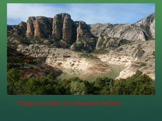 Paisaje con mallos en la Depresión del Ebro
 