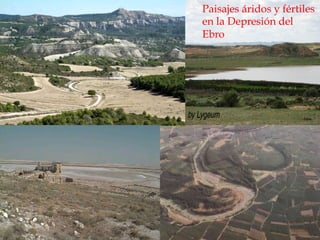 Paisajes áridos y fértiles
en la Depresión del
Ebro
 