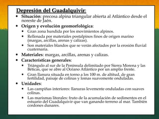 Depresión del Guadalquivir:
—  Situación: precosa alpina triangular abierta al Atlántico desde el
noreste de Jaén.
—  Origen y evolución geomorfológica:
—  Gran zona hundida por los movimientos alpinos.
—  Rellenada por materiales postalpinos finos de origen marino
(margas, arcillas, arenas y calizas).
—  Son materiales blandos que se verán afectados por la erosión fluvial
cuaternaria.
—  Materiales: margas, arcillas, arenas y calizas.
—  Características generales:
—  Triángulo al sur de la Península delimitado por Sierra Morena y las
Béticas, que se abre al Océano Atlántico por un amplio frente.
—  Gran llanura situada en torno a los 100 m. de altitud, de gran
fertilidad, paisaje de colinas y lomas suavemente onduladas.
—  Unidades:
—  Las campiñas interiores: llanuras levemente onduladas con suaves
colinas.
—  Las marismas litorales: fruto de la acumulación de sedimentos en el
estuario del Guadalquivir que van ganando terreno al mar. También
cordones dunares.
 