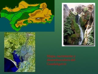 Mapa, nacimiento y
desembocadura del
Guadalquivir
 