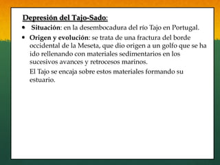 Depresión del Tajo-Sado:
—  Situación: en la desembocadura del río Tajo en Portugal.
—  Origen y evolución: se trata de una fractura del borde
occidental de la Meseta, que dio origen a un golfo que se ha
ido rellenando con materiales sedimentarios en los
sucesivos avances y retrocesos marinos.
El Tajo se encaja sobre estos materiales formando su
estuario.
 