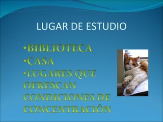 LUGAR DE ESTUDIO 