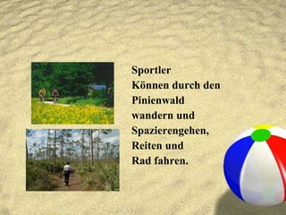 Sportler Können durch den Pinienwald wandern und Spazierengehen,  Reiten und  Rad fahren.  