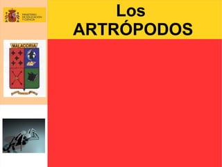 Los
ARTRÓPODOS

 