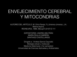 ENVEJECIMIENTO CEREBRAL
Y MITOCONDRIAS
AUTORES DEL ARTÍCULO: M. Ortiz-Pareja, F.J.Jimenez-Jimenez, J.A.
Molina-Arjona.
REVNEUROL 1998, 26(supl1):S107-S 111

EXPOSITORES: ANDREA BELTRÁN
MARÍA PAULA CABRERA
SANTIAGO CASTELLANOS

Dirigido a : Andrea García Caycedo
Biología celular y molecular
Medicina Veterinaria (1er semestre)
Universidad de Ciencias Aplicadas y Ambientales
 