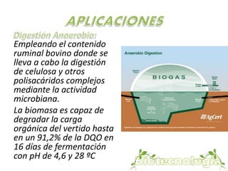Empleando el contenido 
ruminal bovino donde se 
lleva a cabo la digestión 
de celulosa y otros 
polisacáridos complejos 
mediante la actividad 
microbiana. 
La biomasa es capaz de 
degradar la carga 
orgánica del vertido hasta 
en un 91,2% de la DQO en 
16 días de fermentación 
con pH de 4,6 y 28 ºC 
 