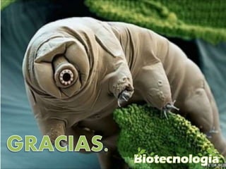 Biotecnología Ambiental