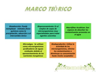 Bioadsorción: Puede 
reemplazar métodos físico-químicos 
como la 
precipitación, adsorción o el 
intercambio iónico 
Bioprocesamiento: Es el 
empleo de cepas de 
microorganismos muy 
especializados para tratar 
agentes concretos 
Macròfitas Acuàticas: Son 
capaces de absorber los 
contaminantes presentes en 
el agua 
Microalgas: Se utilizan 
como microorganismos 
purificadores de aguas 
residuales debido al 
aprovechamiento de los 
nutrientes inorgánicos 
Biodegradaciòn: Utiliza la 
actividad de los 
microorganismos, elimina 
los contaminantes o 
disminuye su concentración 
hasta niveles aceptables. 
 