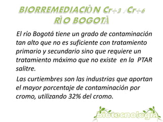 El río Bogotá tiene un grado de contaminación 
tan alto que no es suficiente con tratamiento 
primario y secundario sino que requiere un 
tratamiento máximo que no existe en la PTAR 
salitre. 
Las curtiembres son las industrias que aportan 
el mayor porcentaje de contaminación por 
cromo, utilizando 32% del cromo. 
 