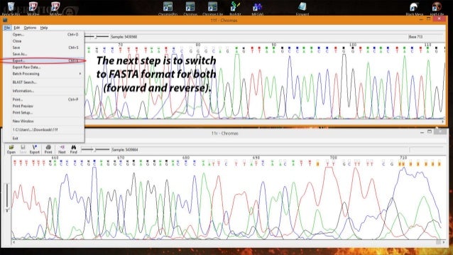 nucleotide sequence analysis nucleotide sequence analysis