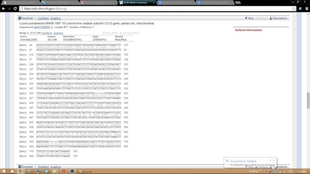 nucleotide sequence analysis nucleotide sequence analysis
