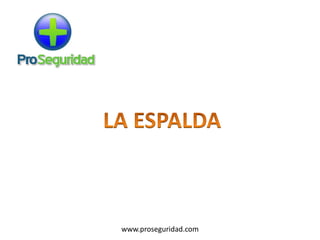 www.proseguridad.com
 