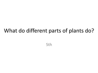 What do different parts of plants do?
5th
 